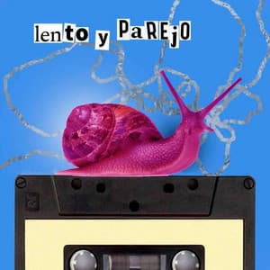 Fotos de Agustín como instrumentista